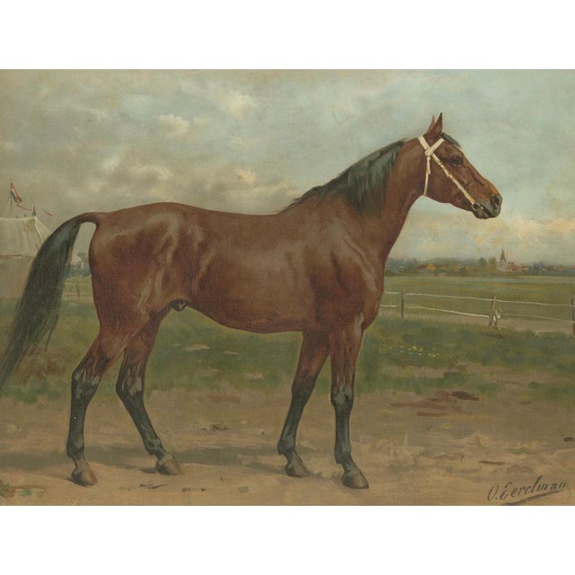 After Eerelman, East Prussian Trakehner Horse Portrait, 1898, Lithograph For Sale - Image 4 of 12