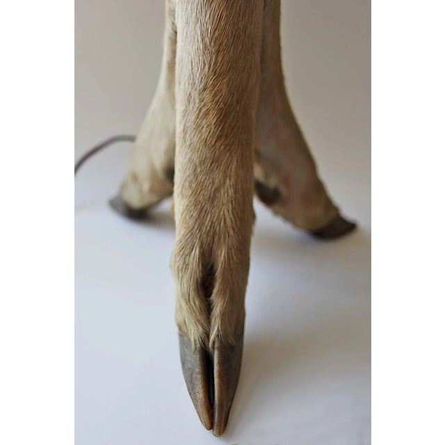 Traditional Table Lamp For Sale - Image 3 of 5