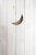 Wood Antique Outhouse Door With a Crescent Moon For Sale - Image 7 of 10
