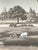 Not Yet Made - Made To Order Hand Painted Vintage Indian Rural River Scene Panoramic Mural Panels For Sale - Image 5 of 6