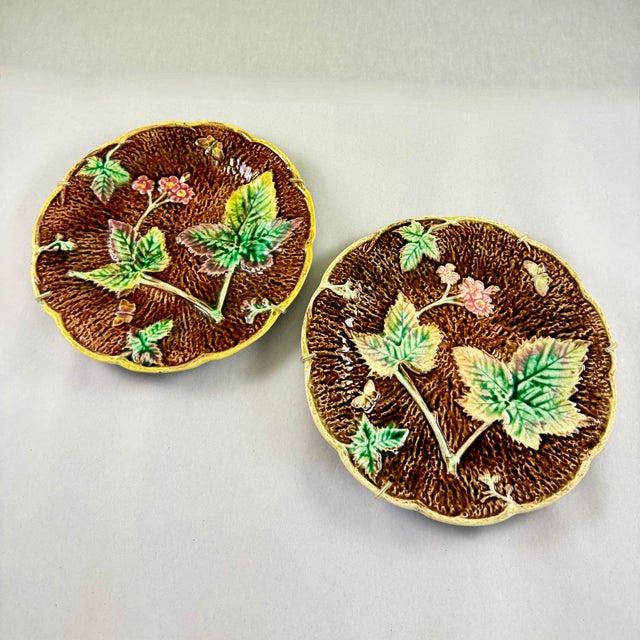 A set of two English Majolica plates in a rustic, aesthetic pattern of leaves on a brown, bark-like ground and showing two...