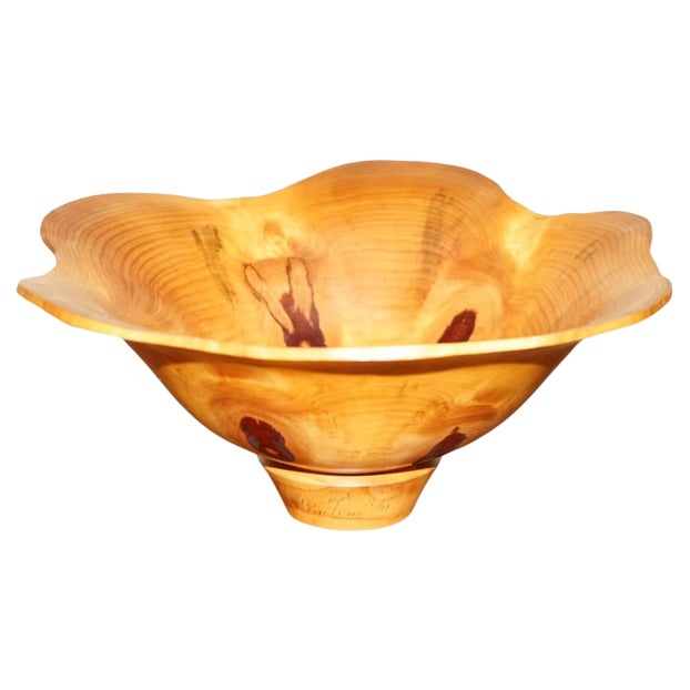 Super Large Monkey Puzzle Wood Fruit Bowl by Gregory Jervis Moreton For Sale