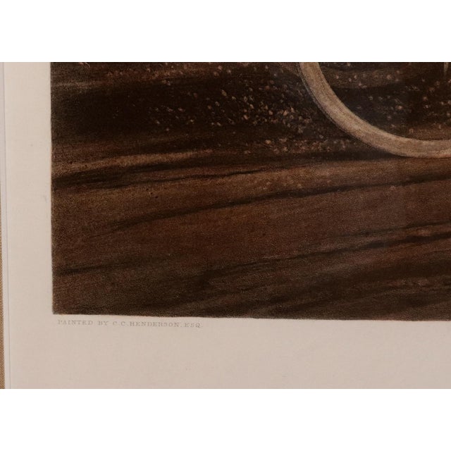 ‘Waking Up’: Fore’s Coaching Recollections — A Very Large Hand-Coloured Aquatint, After Charles Cooper Henderson For Sale - Image 11 of 12