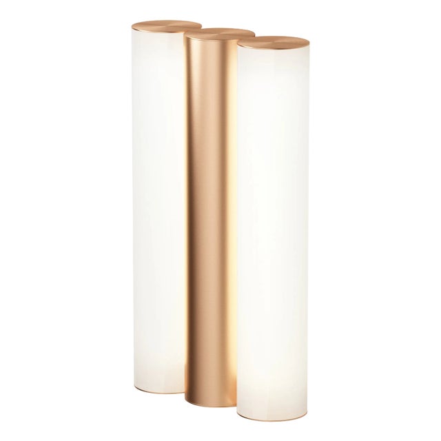 Ip Gamma Satin Copper Wall Light by Sylvain Willenz For Sale