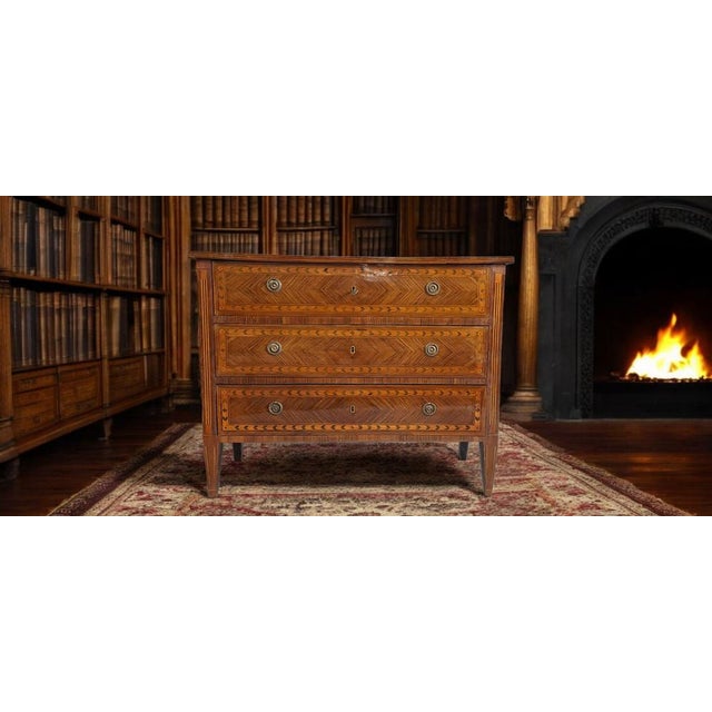 Brown Large Louis XVI Piedmontese Veneered Chest of Drawers For Sale - Image 8 of 9