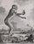 18th Century 18th Century Original French Monkey Engraving by Buffon 1789 For Sale - Image 5 of 8