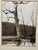 Andrew Wyeth Andrew Wyeth Cold Spring Lithograph Print, Framed For Sale - Image 4 of 12