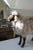 Vintage Life-Sized Stuffed Sheep Ottoman For Sale - Image 13 of 15