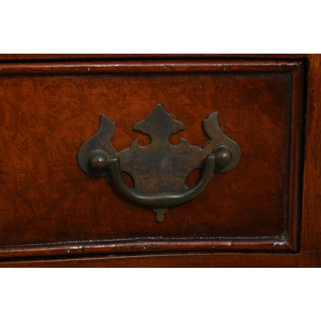 Vintage Small Size English Burl Wood Highboy For Sale - Image 10 of 15
