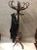 Coat Stand by Michael Thonet, in Very Good conditions. Designed before 1890 This piece is attributed to the mentioned...