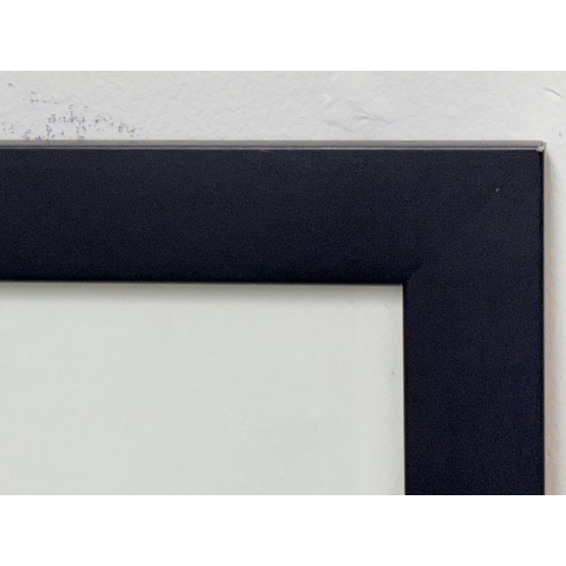 Contemporary Antler Study Photograph, Signed For Sale - Image 4 of 12