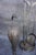 Metal Early 20th Century Original Cahill Iron Works Waterfowl Fireplace Andirons and Tool Set For Sale - Image 7 of 8