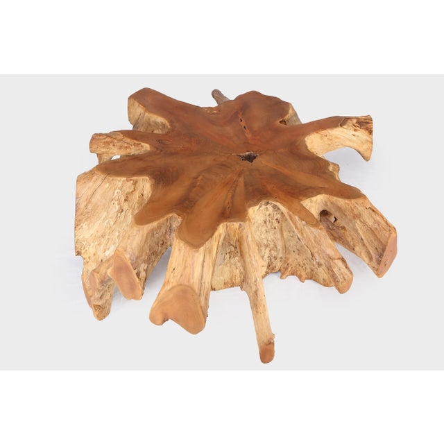 Round 36" Inch Organic Teak Root Coffee Table 27 For Sale - Image 4 of 6