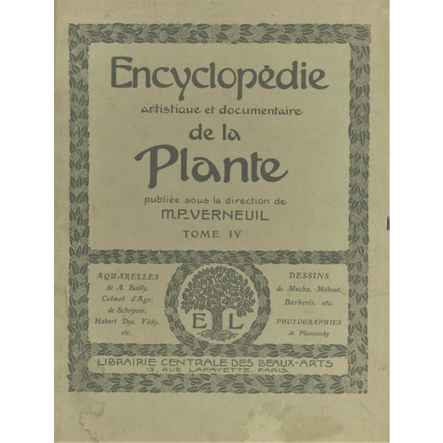 1904 Antique French Photographic Botanical-Iris, With Documentation For Sale - Image 4 of 5