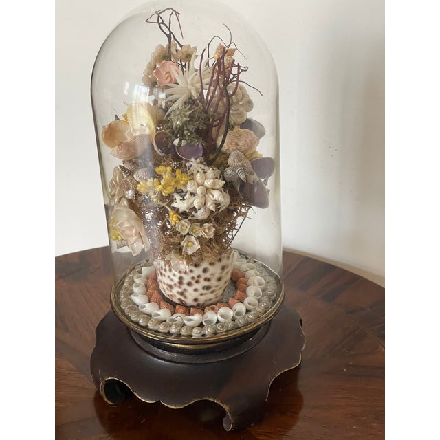 Beautiful antique sea shell flowers bouquet with yellow immortella dry flowers in a glass dome on wood carved stand.