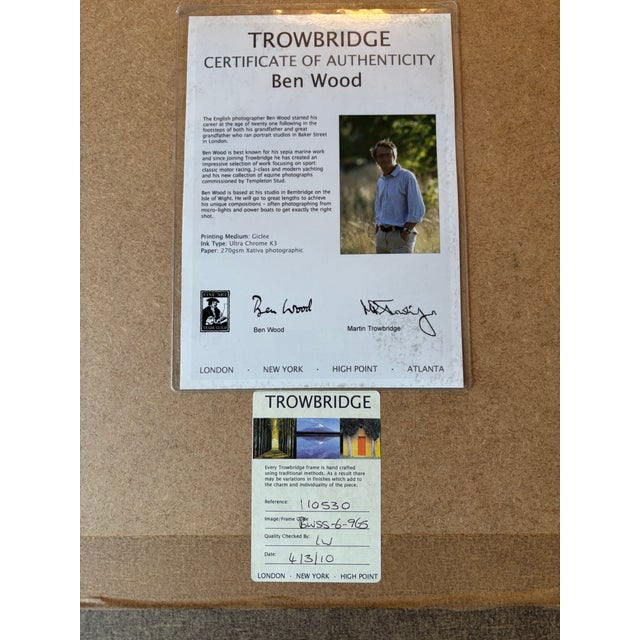 Trowbridge Gallery Ben Wood Signed Limited Edition Shell Giclée Print - Framed – Coa Included For Sale - Image 4 of 10