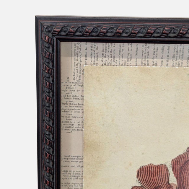 Printmaking Materials Framed “Red Coral on Rock” Natural History Print For Sale - Image 7 of 9