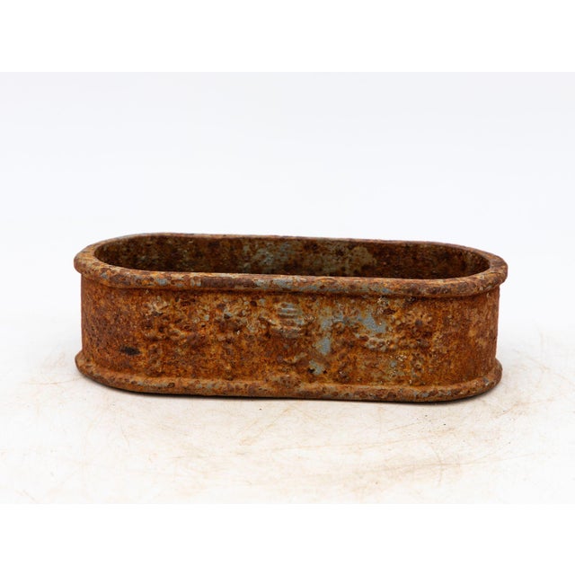 Small Cast Iron Oval Planter, France Early 20th C. For Sale - Image 9 of 10