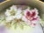 Early 20th Century Vintage German Porcelain Oriental Lily Cookie Cake Serving Plate For Sale - Image 5 of 13