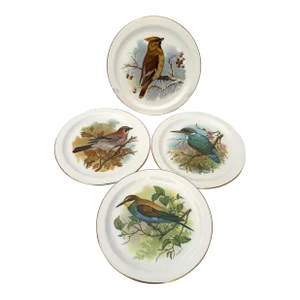 Vintage Royal Vale Bone China Bird Plates-Set of 4