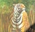 Late 20th Century Vintage Aboriginal Oil Painting of Tiger For Sale - Image 5 of 12