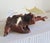 Vintage John Perry Dolphin Pod Sculpture on Natural Burlwood Base – 14" For Sale - Image 10 of 12
