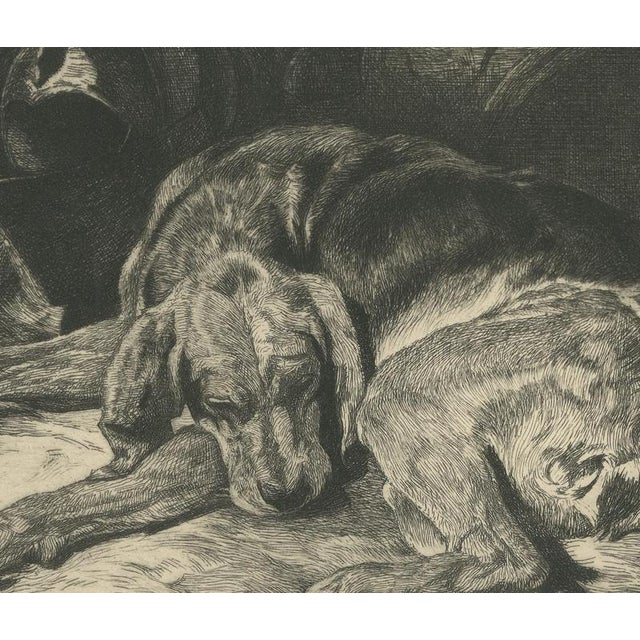 W. Wise, Sleeping Hound with a Plumed Helmet, 1880, Etching For Sale - Image 6 of 9
