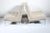 Modern Florence Knoll Model 65 Chrome Slipper Lounge Chairs, 1973 - A Pair For Sale - Image 3 of 13
