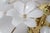 Ceiling Lamp with White Murano Glass Flowers by Hosel, 1980s For Sale - Image 10 of 18