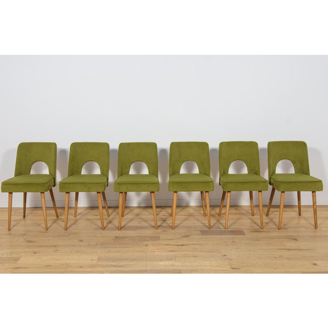 Mid-Century Modern Shell Chairs from Bydgoszcz Furniture Factory, 1960s, Set of 6 For Sale - Image 3 of 18