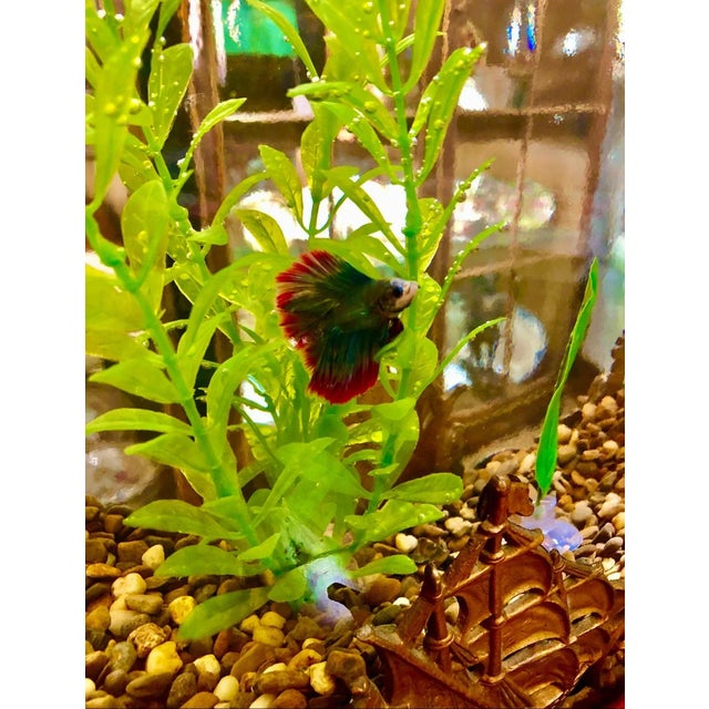 1920s Fish Bowl on Stand For Sale - Image 6 of 6