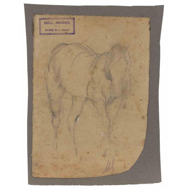 The Horse is an original artwork realized by Luigi Galli in the late 19th Century. Pencil drawing on paper. The artwork...