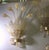 Vintage Lamps in Murano Glass with Gold Leaf, 1930s, Set of 2 For Sale - Image 4 of 18