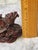 1960s Red Boxwood Japanese Netsuke Dragon and Turtle For Sale - Image 9 of 11