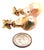 Freshwater Pearl Earrings 14 Karat Yellow Gold 25 mm Certified For Sale