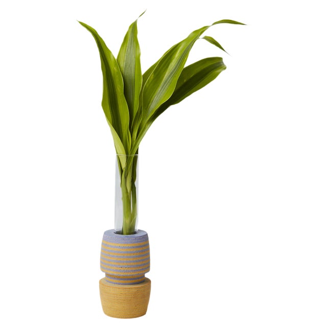 LIO Single Stem Vase from Laura-Jane Atkinson For Sale
