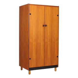 Vintage Wardrobe in Painted Wood and Teak Veneer, 1960s For Sale