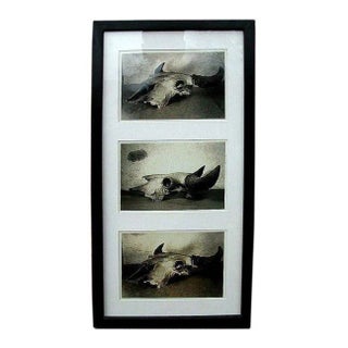 1940s Framed Gelatin Prints For Sale