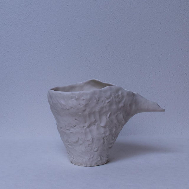 Beak Jug by Etra Masi For Sale - Image 4 of 7