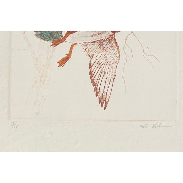 Wood duck drake and hen flying etching on paper by West Coast Victor Hohne. Printed on heavy handmade paper and hand...