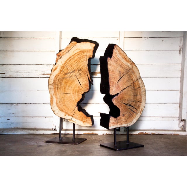 Contemporary Indra Collection Yakisugi Modern Organic Wood Sculpture - Set of 2 For Sale - Image 10 of 10