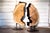 Contemporary Indra Collection Yakisugi Modern Organic Wood Sculpture - Set of 2 For Sale - Image 10 of 10