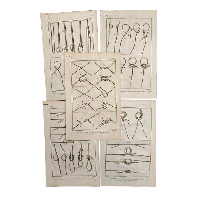 Antique 18th Century Knot Engravings - Set of Five For Sale