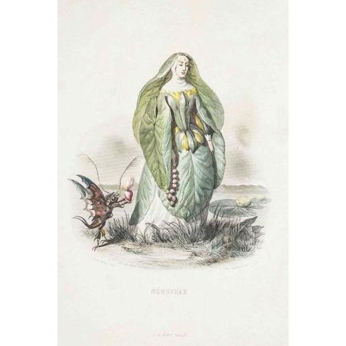 Lithograph on paper. Plate from the series "les fleurs animées". Single sheet with passepartout. Light flowering. "\.being...