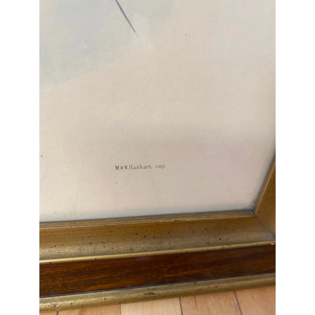 Framed Lithograph Paradisea Minor by J.Smit.lith For Sale - Image 9 of 13