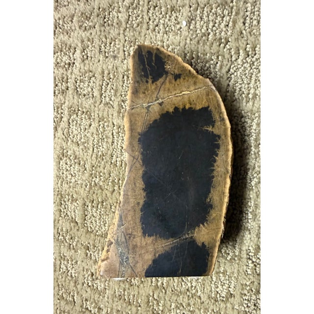 Fossilized Wood Decorative Piece, Lovely Figures and Colors For Sale - Image 4 of 6