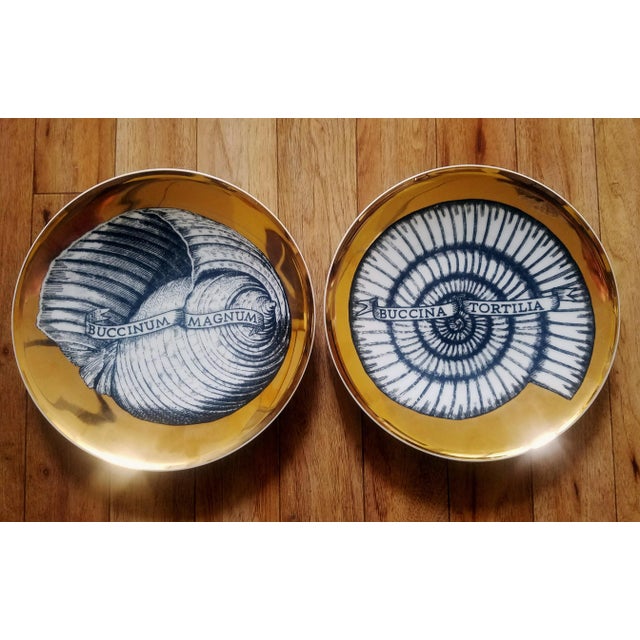 Piero Fornasetti 1950s Vintage Piero Fornasetti Porcelain Gilt Seashell Plates, Conchyliorum Pattern Plates - a Pair For Sale - Image 4 of 4