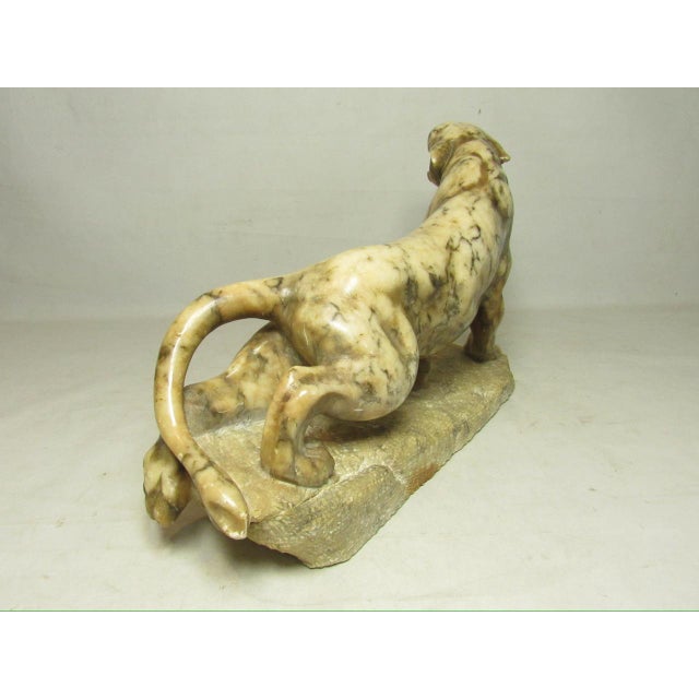 Grand Tour Italian Marble Lion For Sale In San Francisco - Image 6 of 12