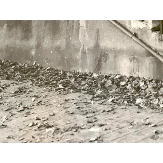 Vintage Richard D’Amore Signed Black and White Architectural Photograph For Sale - Image 9 of 12