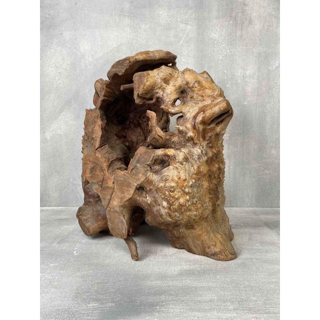 Wabi-Sabi Japanese Sculptural Root Wood Object, 1950s For Sale - Image 4 of 9